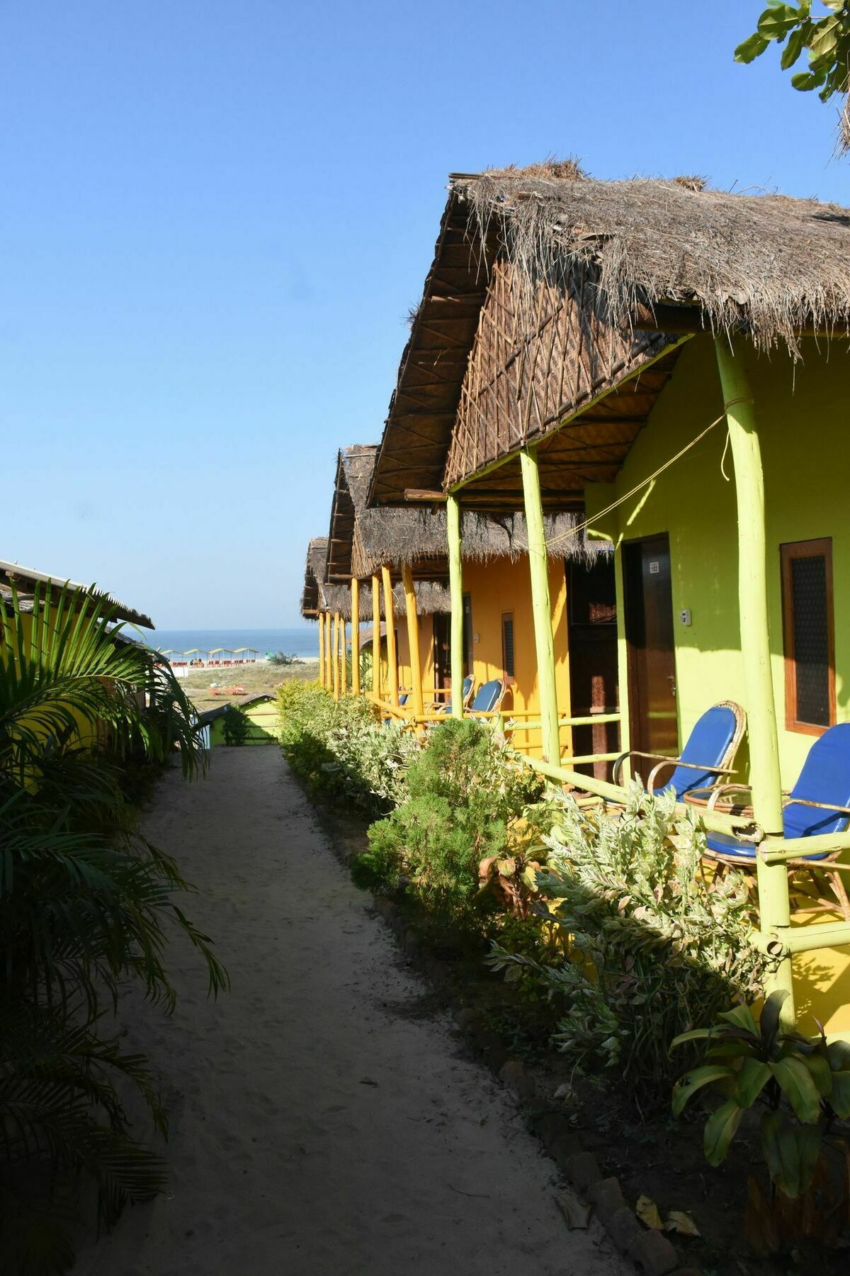Molly'S Nest Hotel Mandrem Exterior photo